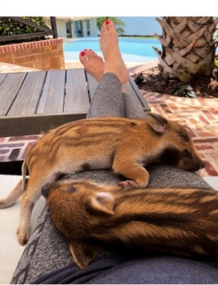 Gwen Stefani feet photo thumbnail