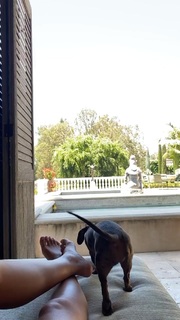 Sofia Richie feet photo thumbnail