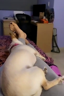 Yoseline Hoffman feet photo thumbnail