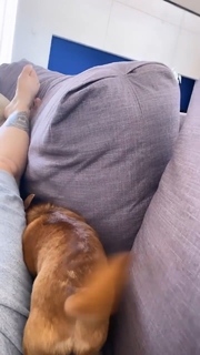 Cleo feet photo thumbnail