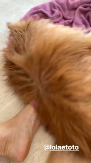 Flávia Alessandra feet photo thumbnail