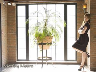 Mandy Moore feet photo thumbnail