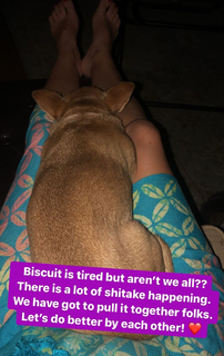 Angela Kinsey feet photo thumbnail