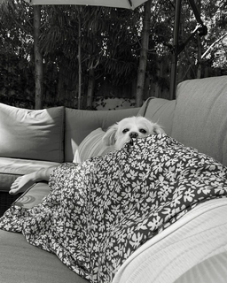 Emily Osment feet photo thumbnail