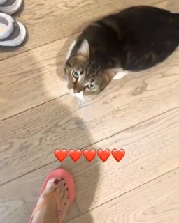 Pinar Altug feet photo thumbnail