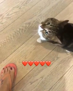 Pinar Altug feet photo thumbnail
