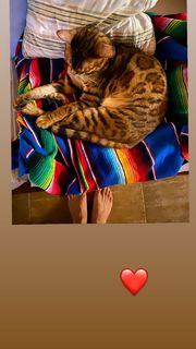 Grazi Massafera feet photo thumbnail