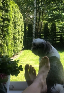 Karolina Kowalkiewicz feet photo thumbnail