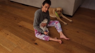 Colleen Ballinger feet photo thumbnail