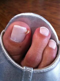 Lili Estefan feet photo thumbnail