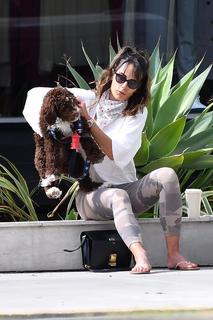 Jordana Brewster feet photo thumbnail