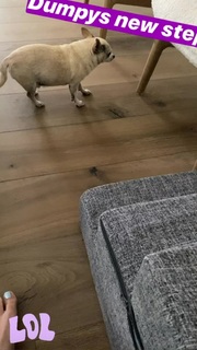 Kaley Cuoco feet photo thumbnail