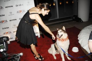 Lake Bell feet photo 5