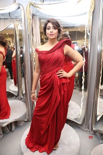 Shriya Saran feet photo thumbnail