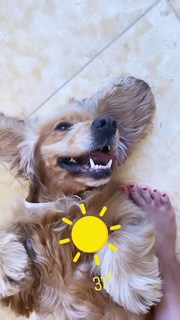 Kimberley Garner feet photo thumbnail