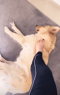 Tania Rincón feet photo thumbnail