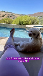 Evelyn Lozada feet photo thumbnail