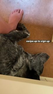 Adriene Mishler feet photo thumbnail