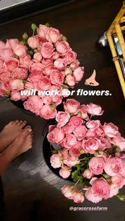 Abigail Spencer feet photo thumbnail