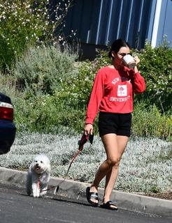 Lucy Hale feet photo thumbnail