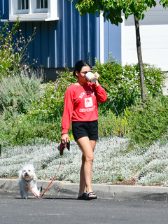 Lucy Hale feet photo thumbnail