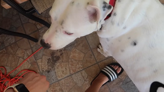 Rachel Ballinger feet photo thumbnail