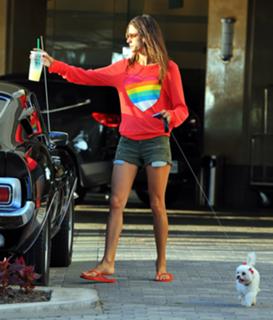 Alessandra Ambrosio feet photo thumbnail