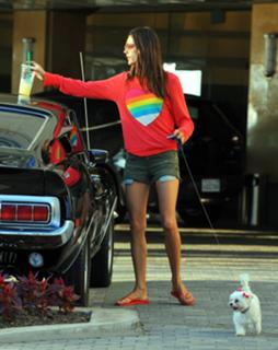 Alessandra Ambrosio feet photo thumbnail