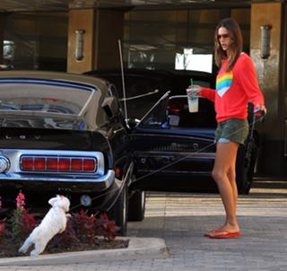 Alessandra Ambrosio feet photo thumbnail