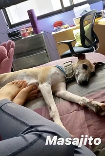 Yoseline Hoffman feet photo thumbnail