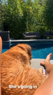 Chantel Jeffries feet photo thumbnail