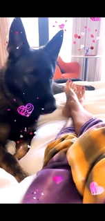 Brooke Burke feet photo thumbnail
