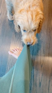 Nastia Liukin feet photo thumbnail