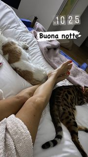 Giada De Laurentiis feet photo thumbnail