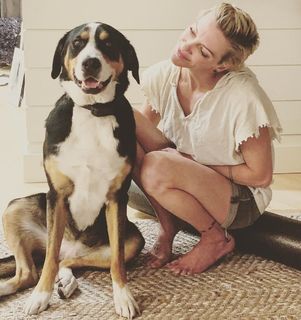 Katie Cassidy feet photo thumbnail