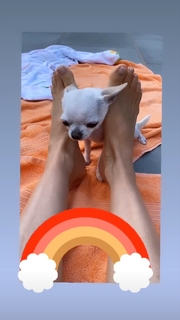 Thalía feet photo thumbnail