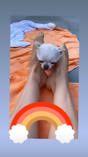 Thalía feet photo thumbnail