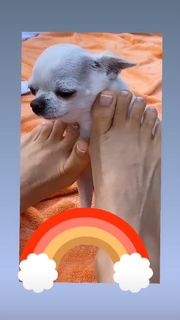 Thalía feet photo thumbnail