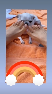 Thalía feet photo thumbnail