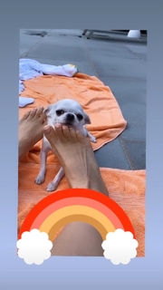 Thalía feet photo thumbnail