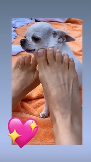 Thalía feet photo thumbnail