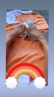 Thalía feet photo thumbnail
