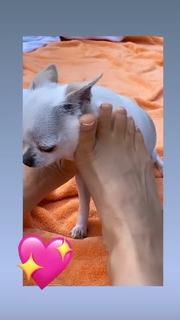 Thalía feet photo thumbnail