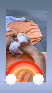 Thalía feet photo thumbnail