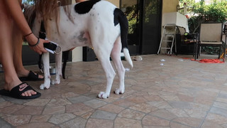 Rachel Ballinger feet photo thumbnail