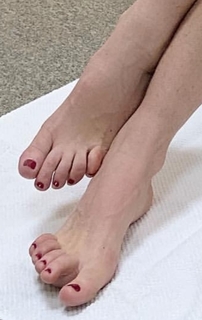 Simona Ventura feet photo 1