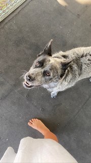 Adriene Mishler feet photo thumbnail