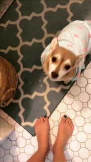 Angela Kinsey feet photo thumbnail