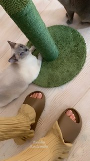 Elsa Hosk feet photo thumbnail