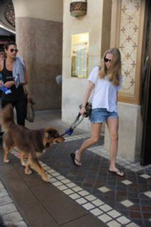 Amanda Seyfried feet photo thumbnail